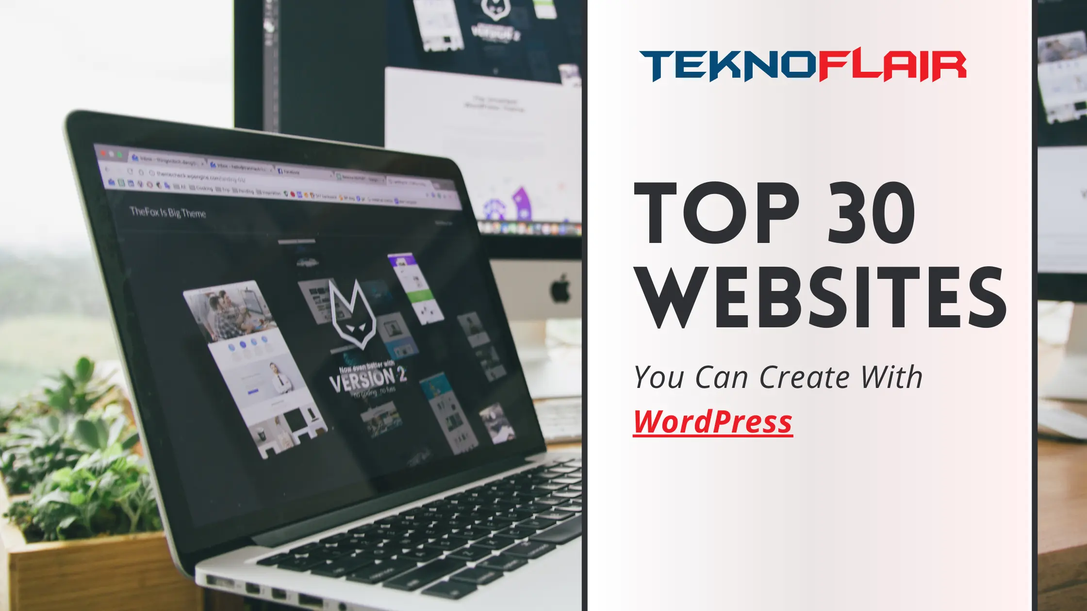 30 types of websites
