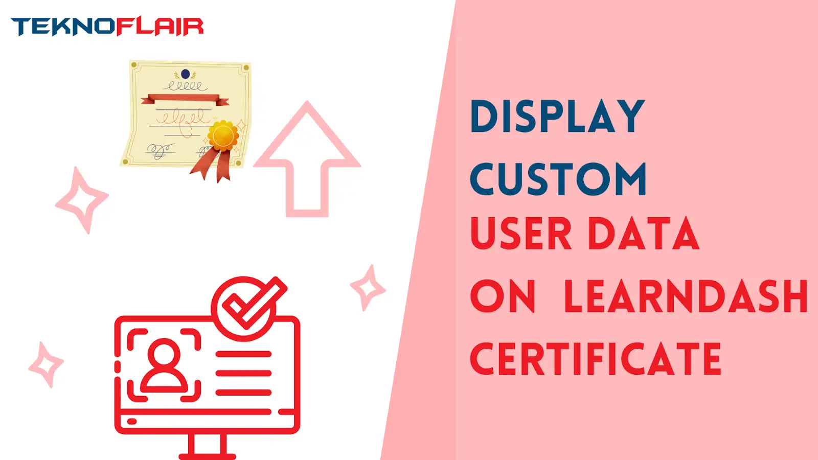 Display Custom User data